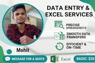 professional data entry, copy paste, and excel work expert