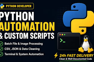 write a custom python script for file automation and data processing