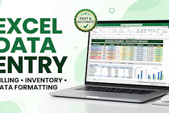do excel data entry, PDF to excel and business spreadsheets