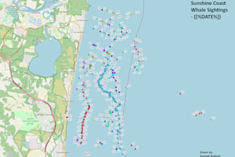 do gis mapping and spatial analysis