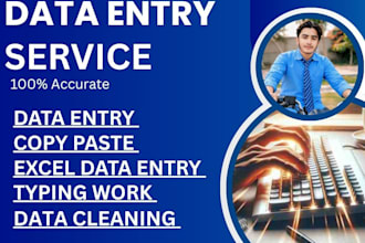 do fast and accurate data entry, data cleaning,  excel work