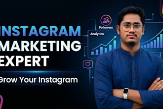 create and manage a professional instagram marketing strategy