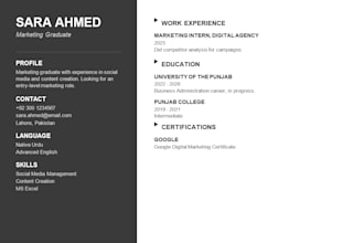 write professional resume and cv