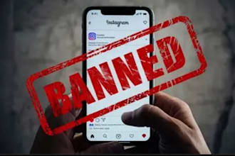 takedown harassing copyright ig fb x content, telegram banning, ig banning