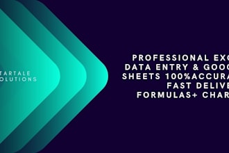 do professional excel data entry and spreadsheet work