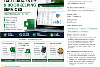 do professional excel data entry and bookkeeping