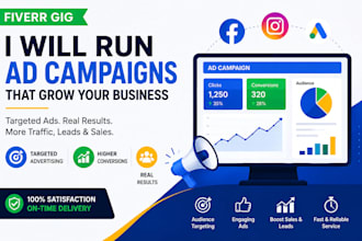 run targeted facebook and instagram ads campaigns
