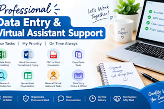 do accurate data entry , copy paste and virtual assistant tasks