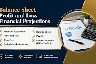 prepare profit and loss statement and CPA letter, CPA verification