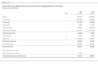 prepare financial statements, balance sheet, and income statement