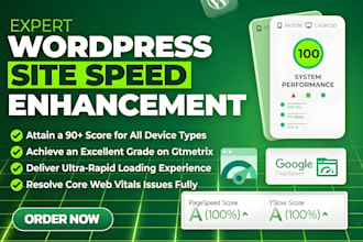 do perfect pagespeed insights speed optimization for wp site