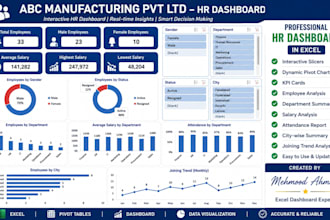 create professional excel HR dashboards