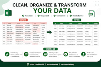 clean organize format and process your data in excel or CSV