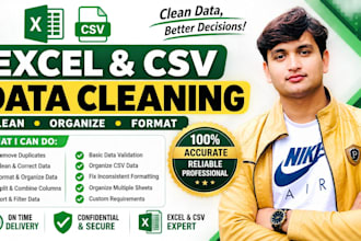 clean, organize and format your excel or CSV data