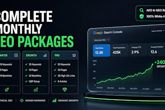 provide monthly SEO service with on page and technical