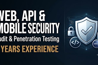conduct a comprehensive vapt for your applications