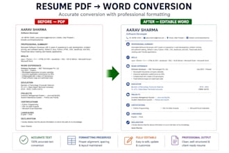 do accurate data entry and excel data formatting