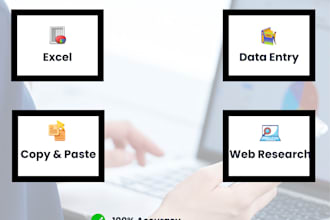 deliver meticulous data entry, excel data cleaning, and web research