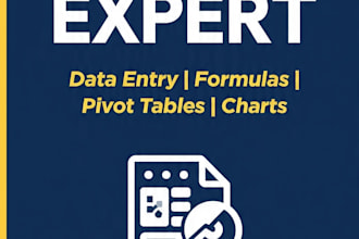 excel data entry, formulas and spreadsheet work