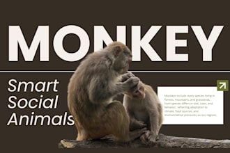 help in research projects of zoology