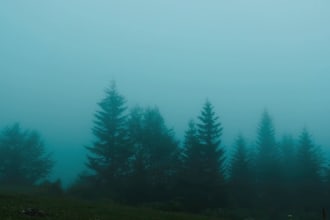 create a relaxing ambient video with ai ambient music