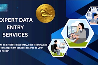 be your expert data entry operator