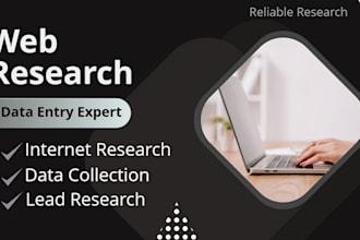 do web research, internet research, and data collection in excel