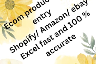 do product data entry for shopify amazon ebay and excel