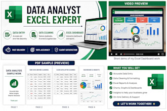 professional data cleaning and data visulaization