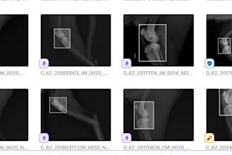 annotate medical images with precise masks, polygons and bounding boxes