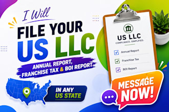 file your US llc annual report, annual tax filling, boi report in any US state