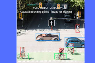 do yolo data annotation and bounding box labeling