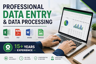 do professional data entry and data processing in excel PDF and word