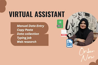 do your professional data entry, excel work and web research