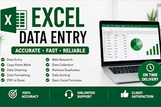 do excel data entry and spreadsheet  formatting