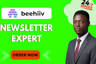 setup beehiiv website design beehive landing page and beehiiv newsletter design