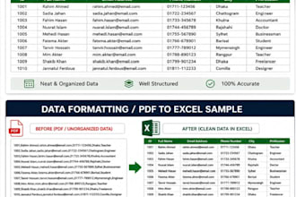 do accurate dara entry and excel work