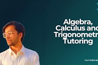 professionally tutor you in algebra, calculus, trigonometry