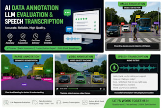 do data image video annotation  llm models evaluation and speech transcription