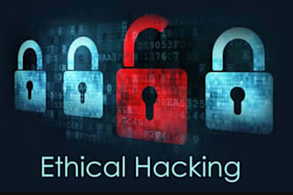 private online investigator, tracking someone movement by phone number and emai