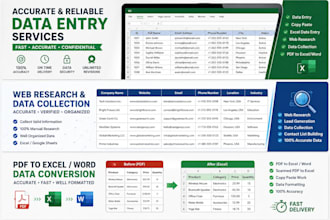 do data entry web research and excel word data entry