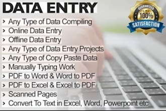 do 1 professional data entry ,microsoft excel typing ,and copy paste