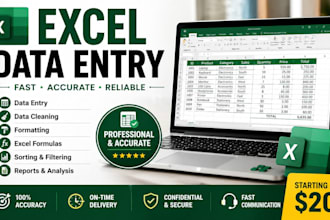 do excel data entry, cleaning, formatting and formulas