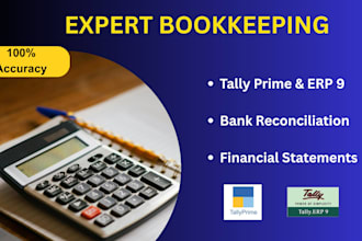 do expert bookkeeping and accounting in tally prime and erp 9