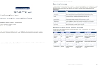create a professional project plans, briefs, and roadmaps