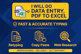 do accurate data entry, PDF to excel and copy paste in 2 hours