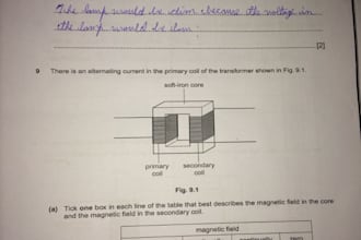 give chemistry lectures especially organic chemistry