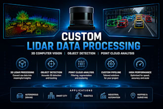 build custom lidar data processing solution, 3d computer vision, object detectio