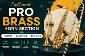 record pro mandolin brass horn section trumpet  saxophone trombone french horn