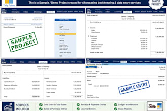 do tally prime bookkeeping and accounting data entry
